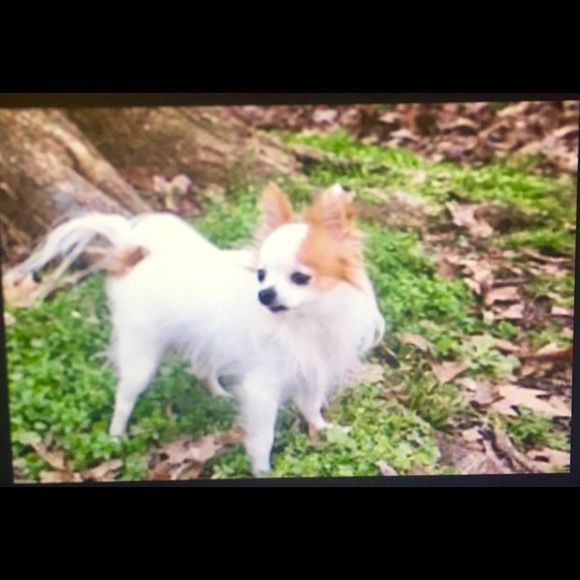 Meet your Posher, Regina - Picture 6 of 8